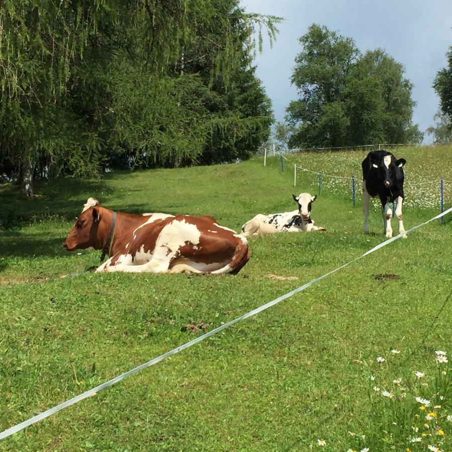 Schneiderhof Villa Seefeld in Tirol Bagian luar foto